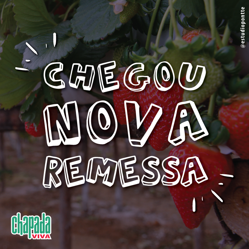 @chapadaviva