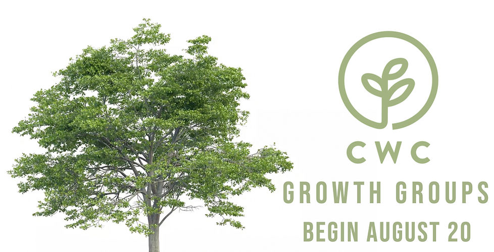 Growth Groups august 20.001.jpeg