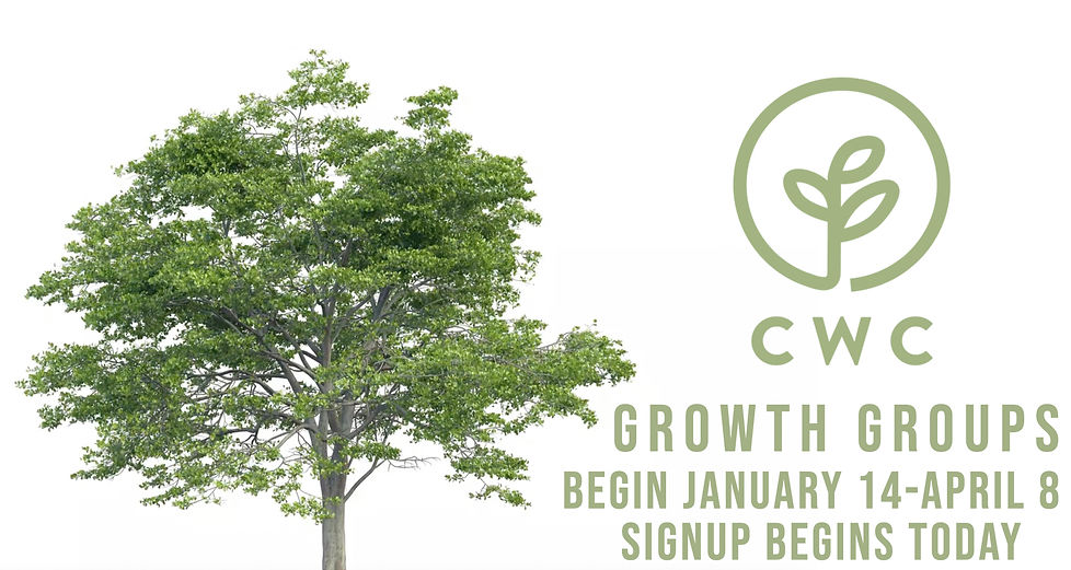 Growth Groups august 20.001.jpeg