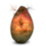 Betterave_QD139