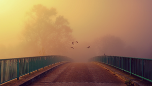               The Violence of Needing to Know