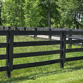 Kentucky (KY) Board with Horse Wire