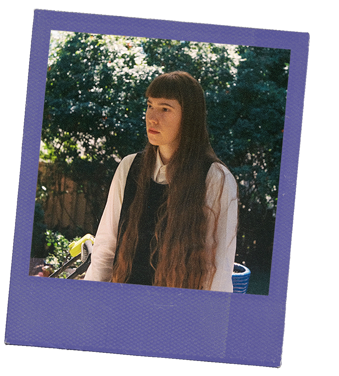 Amelia-Evans-Profile.gif
