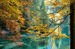 Blausee