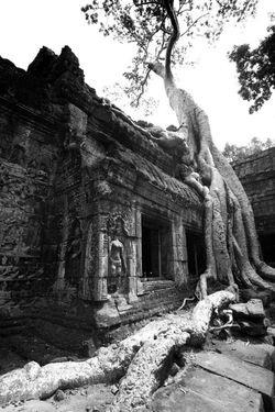 Cambodia06
