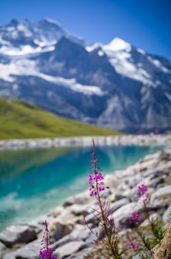 Kleine Scheidegg