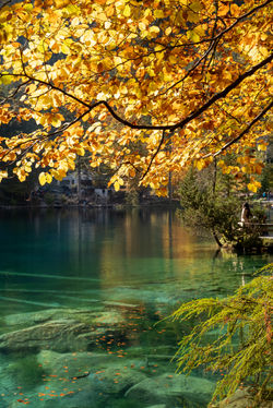 Blausee