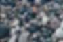 pexels-scott-webb-1029604.jpg