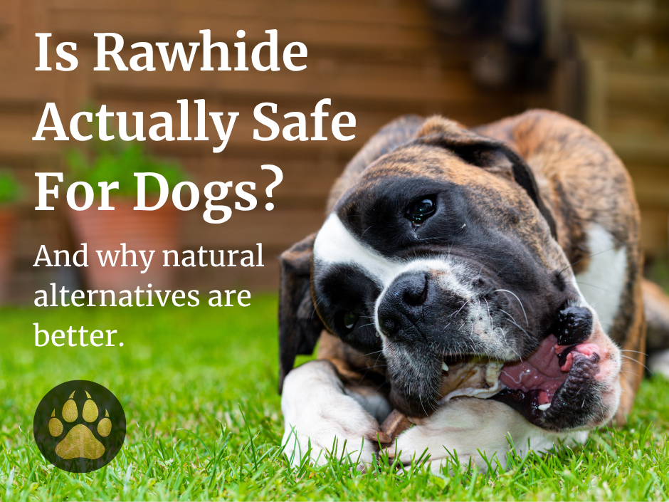 Dog chewing a natural dog chew outside in grass