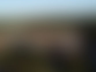 Madison County Wood Products