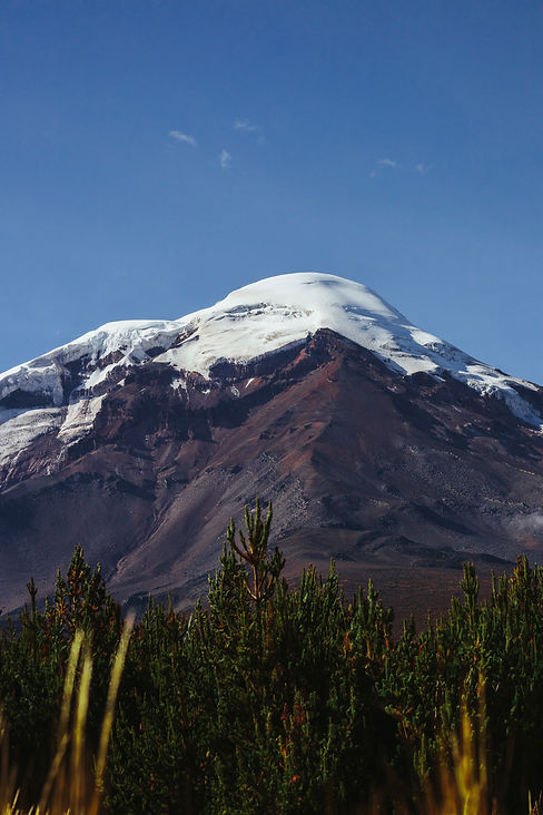 Snowcapped Chimborazo, on a clear blue sunny day, with green vegetation in the foreground