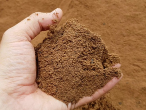 Are you Risking Copper Toxicity??