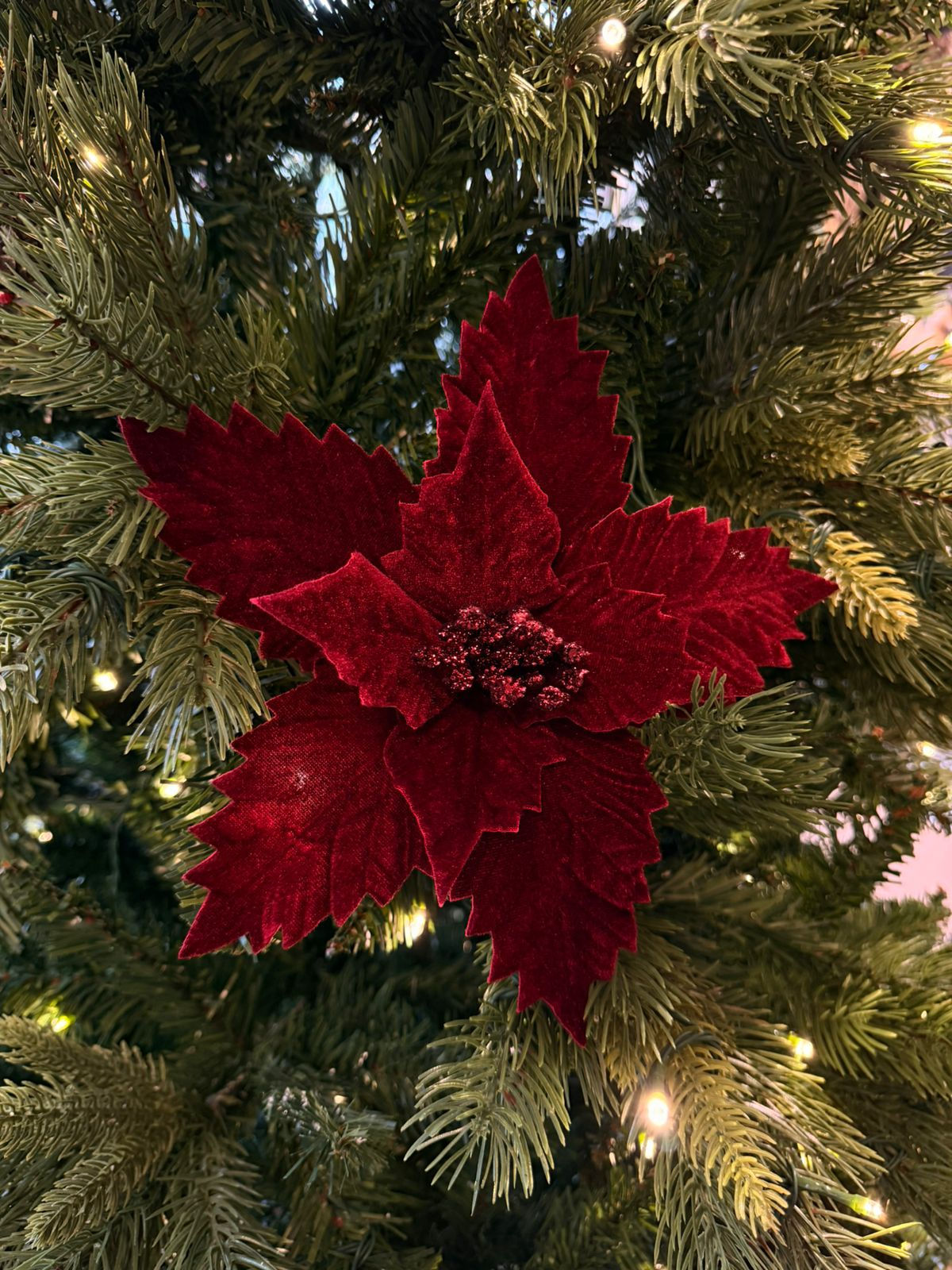 POINSETIA DECORATIVA NATAL (BORDO) - 1 UN