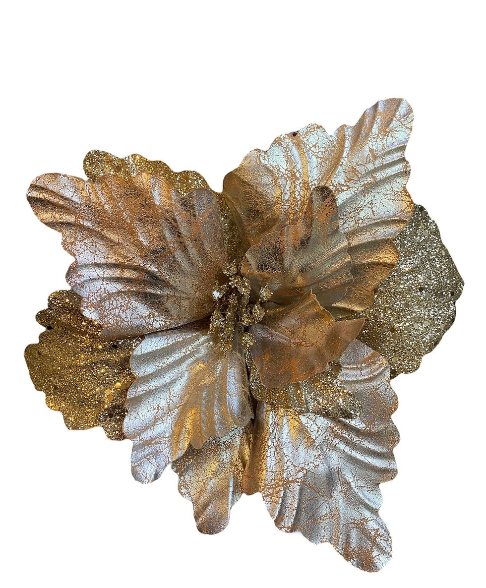 Miniatura: POINSETIA GLITTER (NEUTRO) -1UN