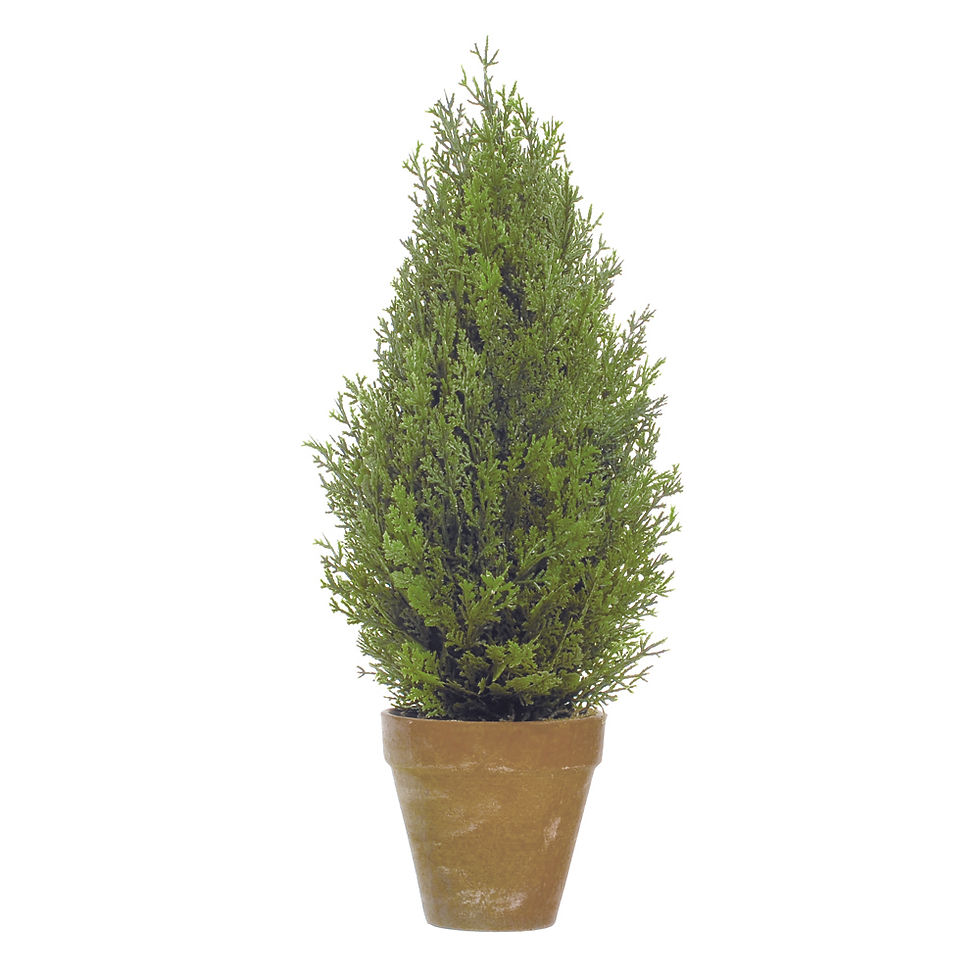 Miniatura: MINI PINHEIRO NO VASO (VERDE) 45CM - 1 UN