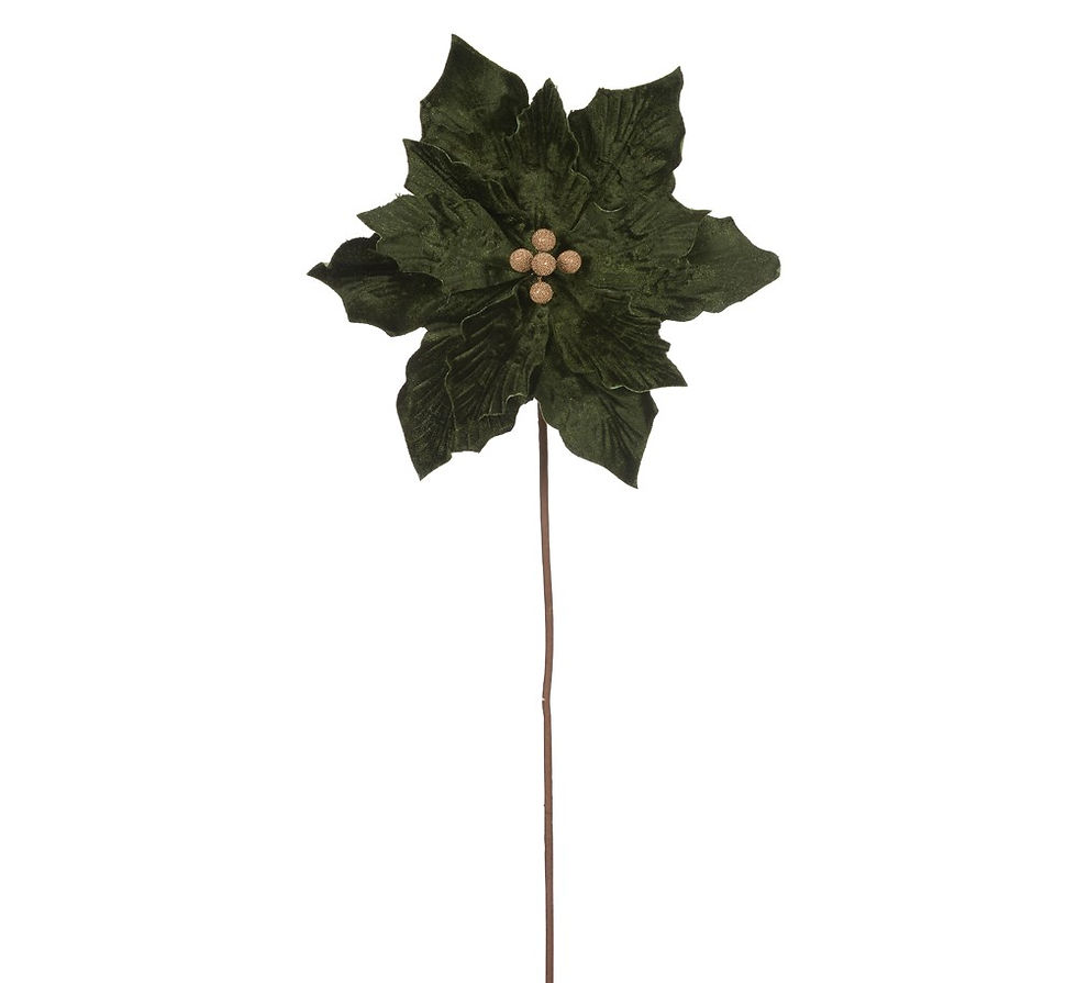 Miniatura: POINSETIA  AVELUDADO (VERDE/DOURADO) - 1UN