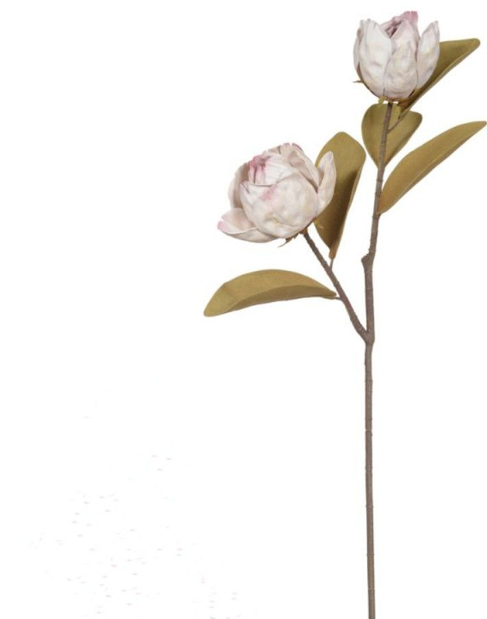 HASTE PEONIA EVA X2 (CREME OUTONO) - 1UN