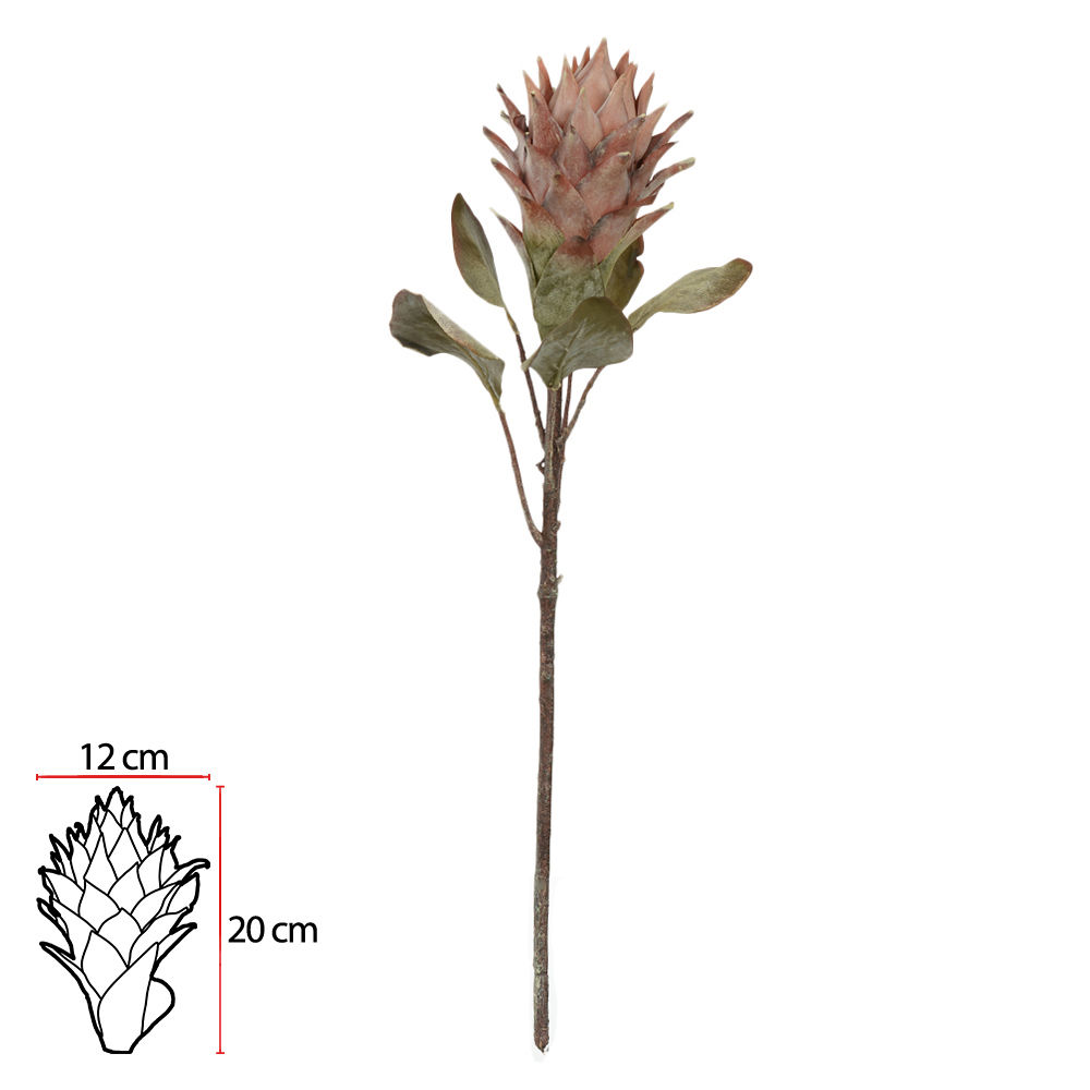 HASTE PROTEA (ROSE ENVELHECIDO) 75cm
