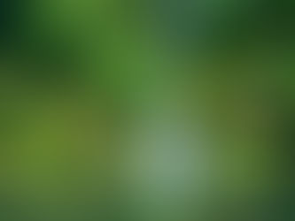 Taugakerfið og nýjar upplifanir í nýrri tíðni