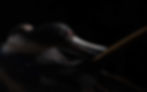 Frigatebirds (Christmas Island) (2).jpg