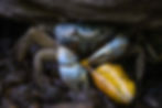 _MGL6532-Edit.jpg