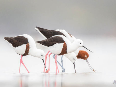 How you can make a difference