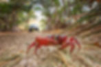 _MGL5487-Edit-Edit.jpg