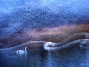 Beyond Technical Perfection - Photographing What I Feel