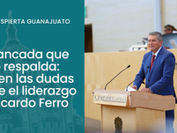 La bancada que no lo respalda: crecen las dudas sobre el liderazgo de Ricardo Ferro
