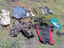 Hallan 20 cuerpos en fosas clandestinas en Cortazar; al menos 14 ya fueron identificados