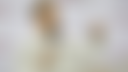 A Casarín se le esfuma la reelección