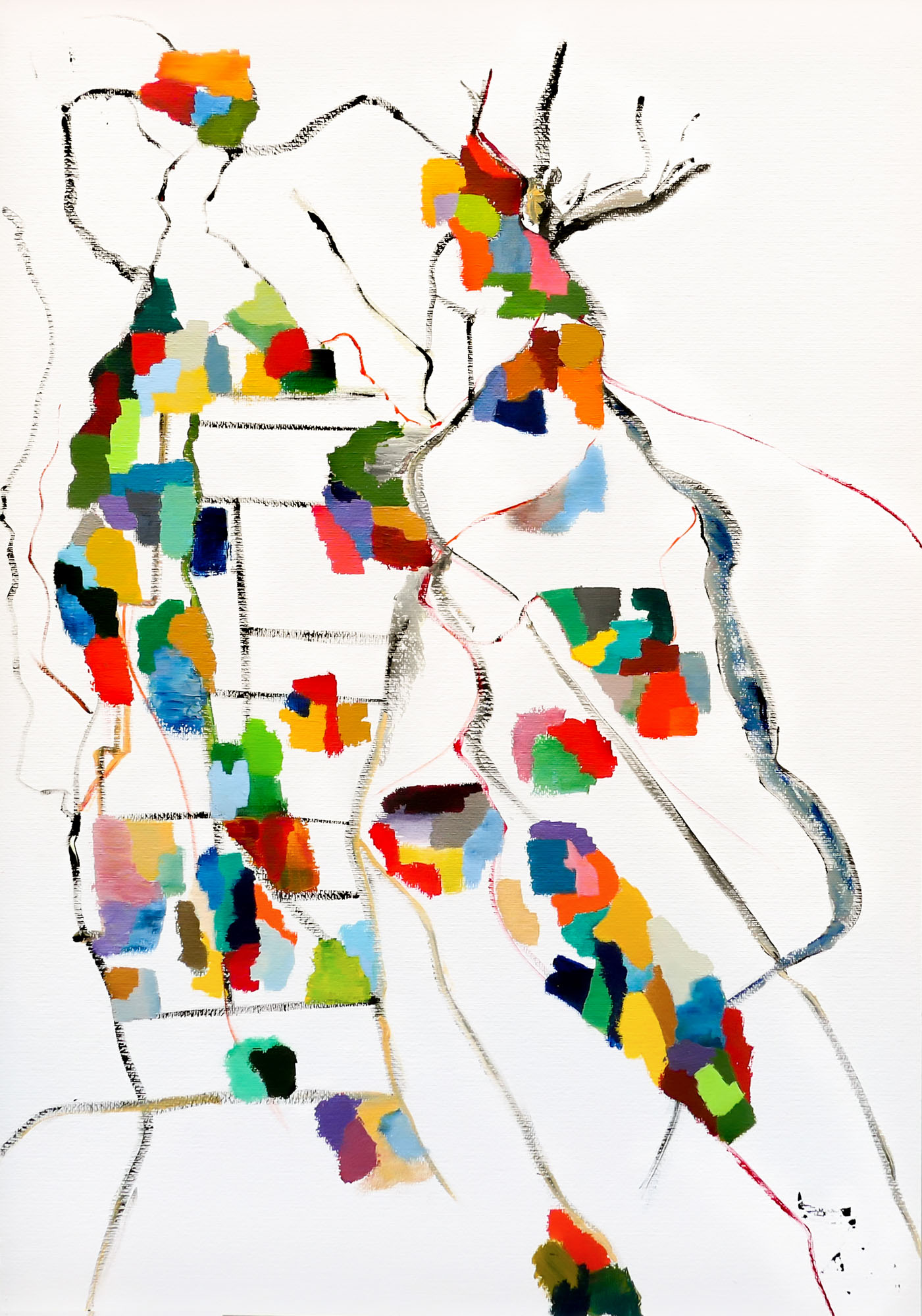 Chandigarh City Map - 100x70 cm