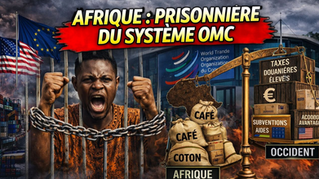 Le système du commerce mondial, né après la Seconde Guerre mondiale avec le GATT, est présenté comme un outil de liberté économique, mais il est ici dénoncé comme un mécanisme ayant favorisé les puissances occidentales au détriment de l’Afrique. ⚖️ Avec l’OMC, ces règles sont devenues contraignantes, limitant la souveraineté économique, agricole et même numérique des pays africains. 🚨 Résultat : une dépendance persistante et un appel fort à repenser ce modèle jugé injuste et déséquilibré.