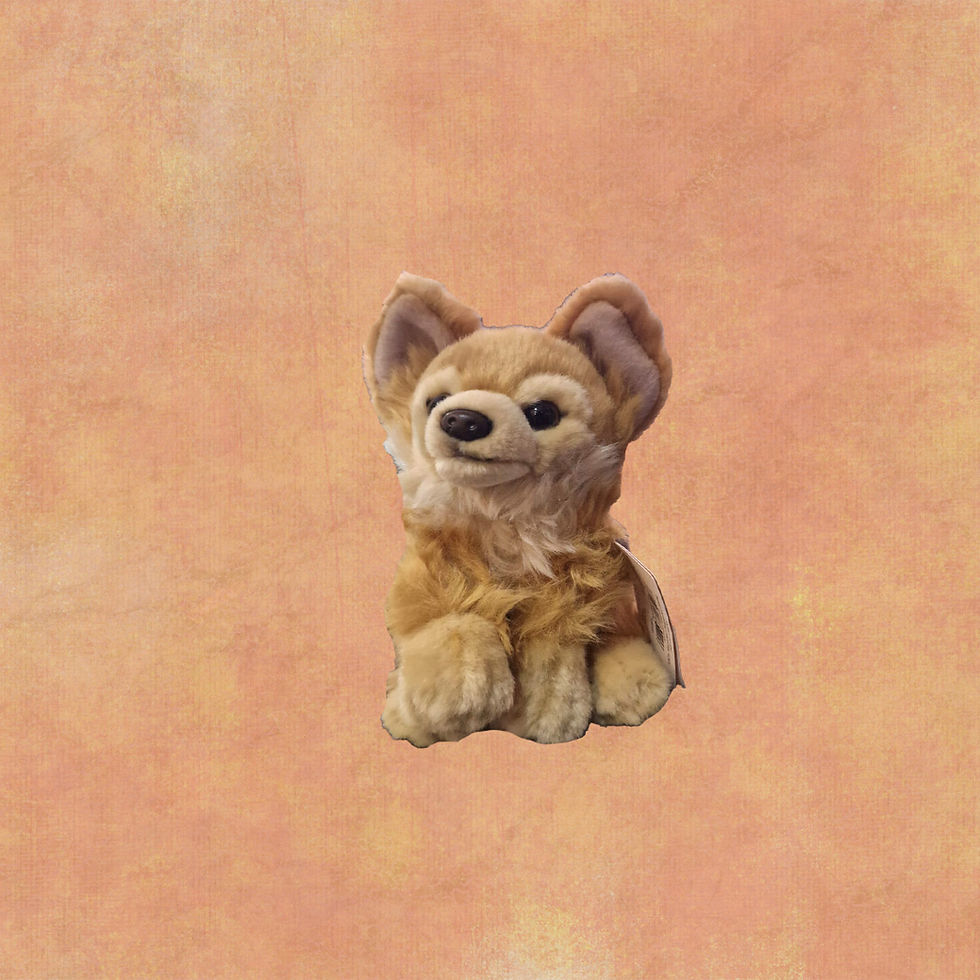 Karen, the Chihuahua