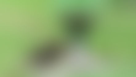 הדפסת תלת מימד בשיעורי מדעים - מחלקות בעלי-חיים