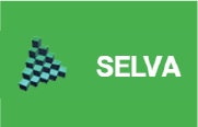 Selva