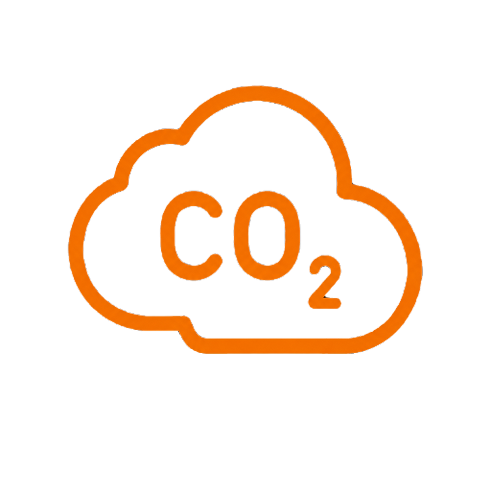 CO2 Logo_edited.png