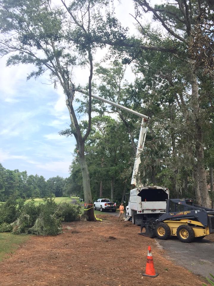 About Us treeandequipment