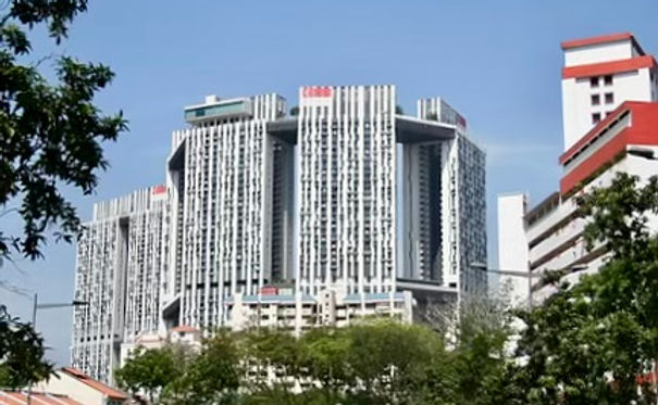 The Pinnacle@Duxton