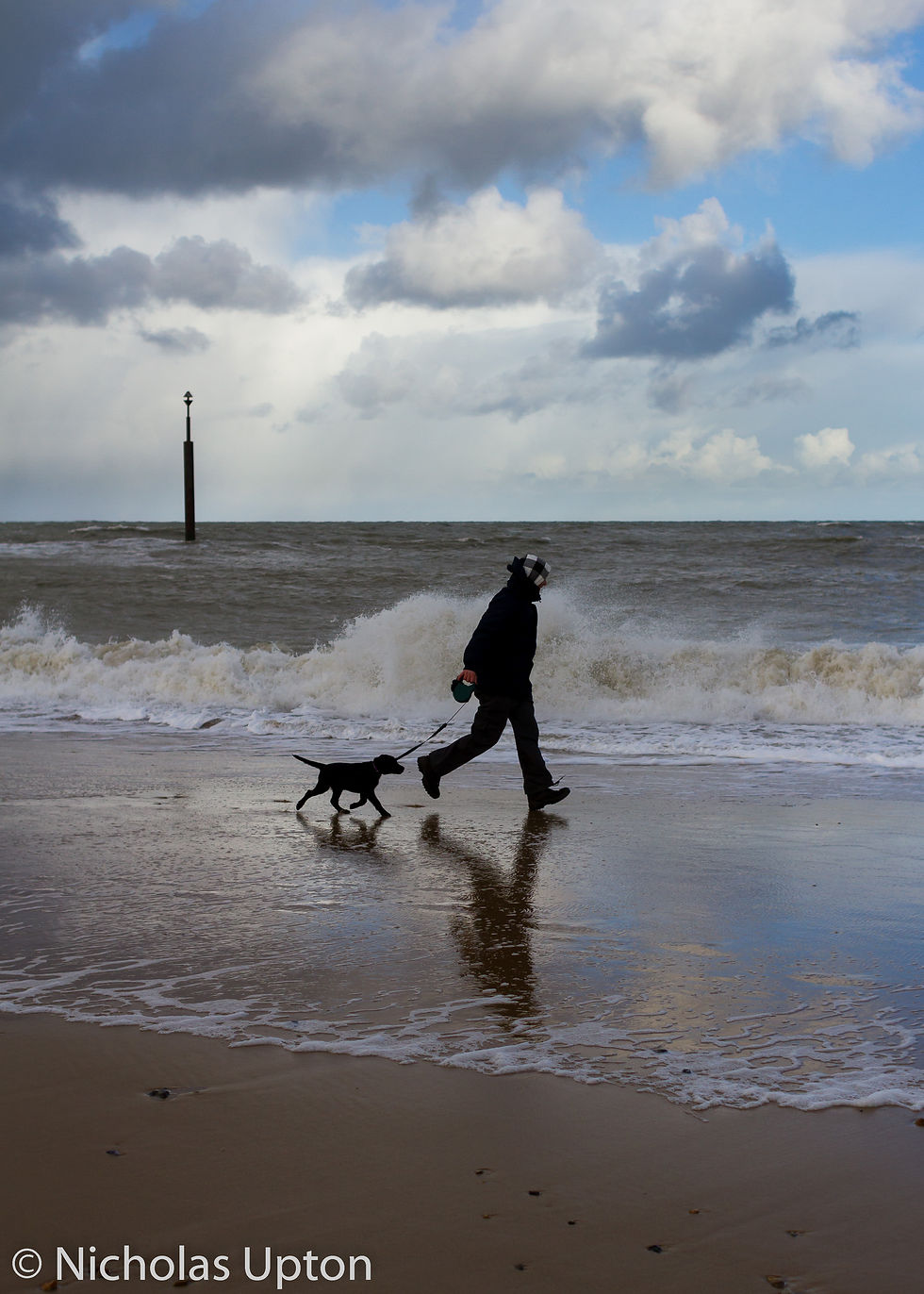 dog-walker-in-sussex-olive3