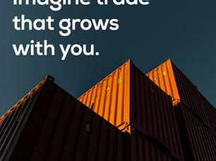 Imagine Understanding Trade Finance: A Plain-English Guide for East African Logistics Professionals