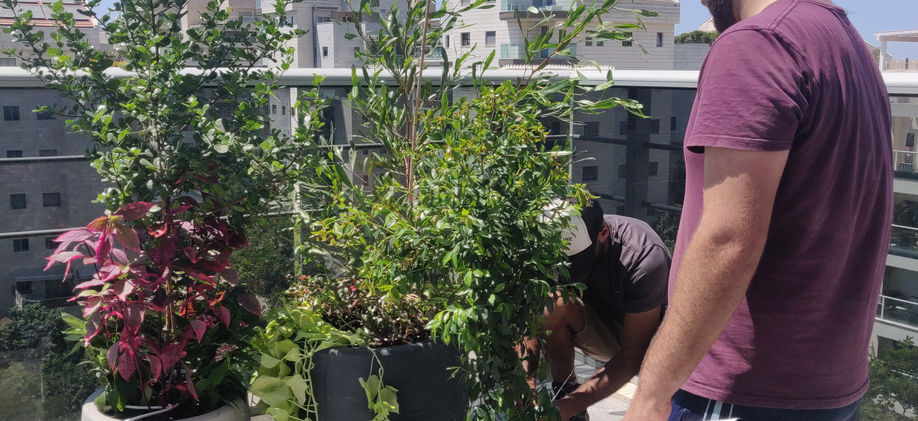 פנטהאוז בירוקה12.jpg