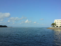 2015-08-11 09.09.52.jpg