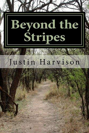 Beyond the Stripes Cover.png