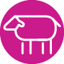 bookmark_11.png