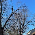 IMG_2548.jpg