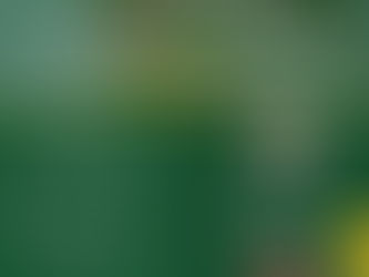 หลักสูตรการนำเข้า-ส่งออกสินค้าเกษตร