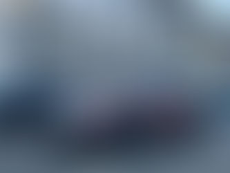 Handtaster, Sprinkler, in Frauenfeld, Freiestrasse, Natur- und Archäologie Museum