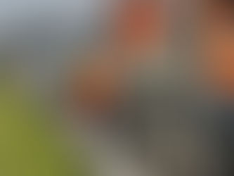 Brand-klein, auf der A7 FB Konstanz, Frauenfeld-Ost - Müllheim, km 14.00, PW brennt,