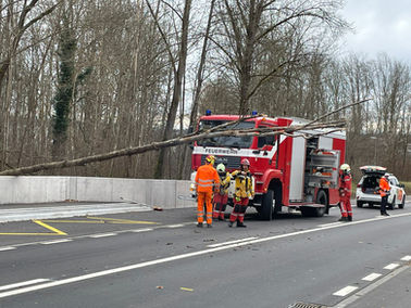Technische Hilfeleistung, in Frauenfeld, Weststrasse, Baum ragt vor der Rohrerbrücke über die Strasse, Verkehr teilweise blockiert 